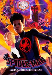 Spider-Man: Across the Spider-Verse (2023) streaming